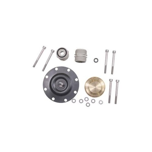 Pump Repair Parts- Kit, maint DMX221-115 PP/E/C, DMX Series.